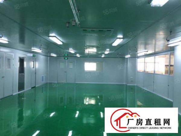 （精装修）常平无尘车间3000平方招租，可做食品加工