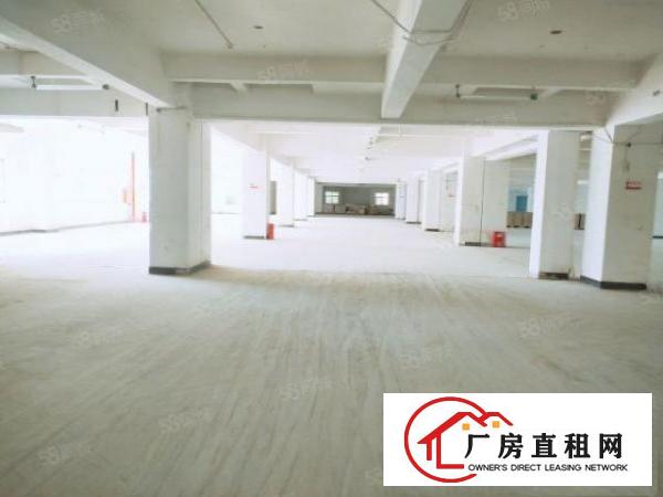  出租常平红本厂房800平消防合格可办环评周边无居民