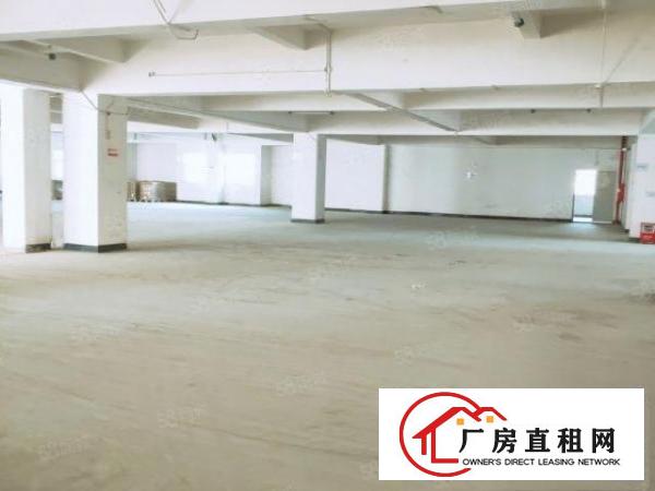  出租常平红本厂房800平消防合格可办环评周边无居民