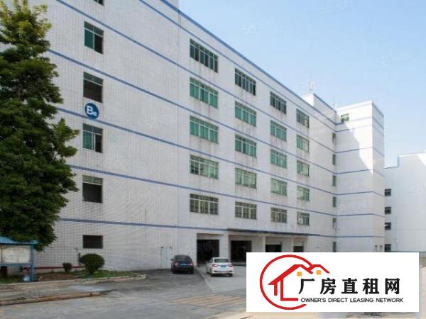  出租常平红本厂房800平消防合格可办环评周边无居民