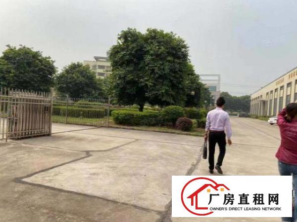  常平新出原房东单一层重工业厂房20000平方