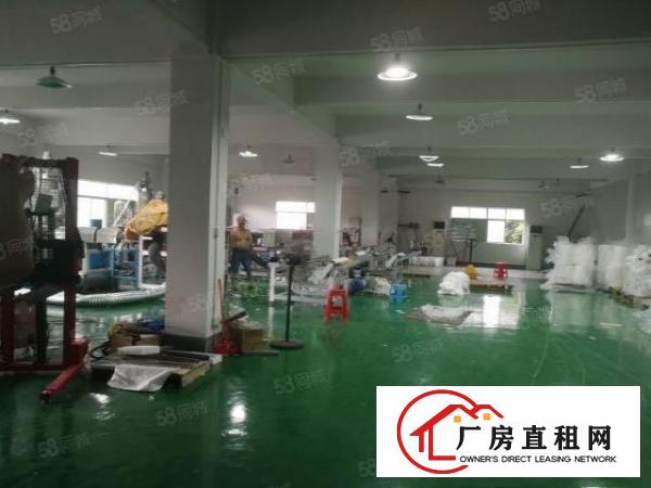  常平原房东小独院厂房4200平方米空地大好办环评