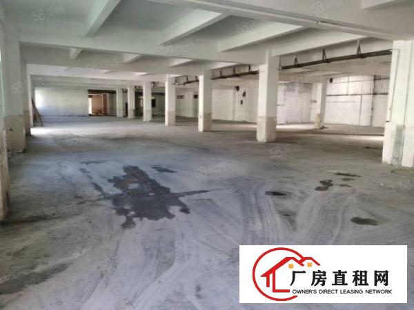  常平九成新独门独院厂房13380平方米仅租17元17元