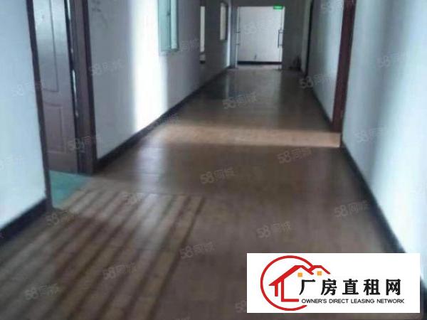  常平袁山贝（原房东精装修）独院二楼1200平标准厂房