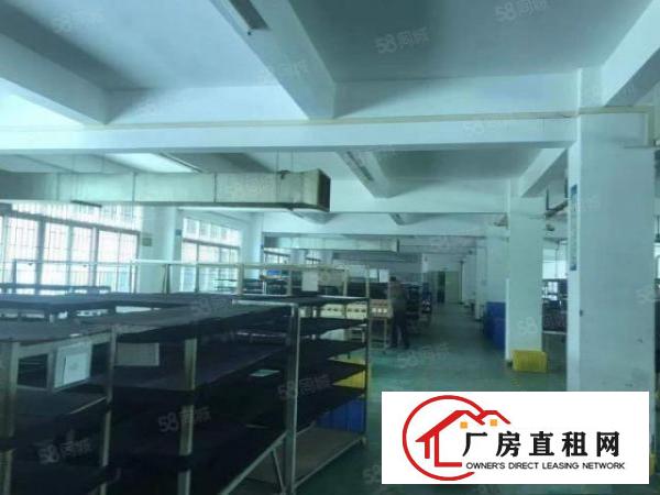  常平袁山贝（原房东精装修）独院二楼1200平标准厂房
