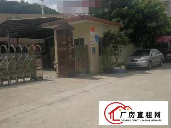  东莞市常平镇新出3500平方厂房招租