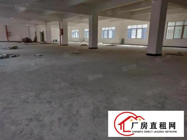  常平国际创新港全新临马路800平厂房，形象好，运货方便，可环