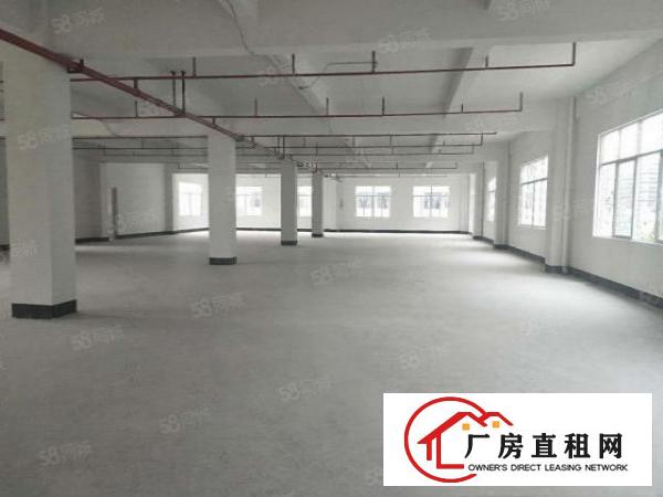  （带环评）常平靠大朗标准厂房3600平方招租，层高6.5米
