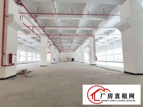  （带环评）常平靠大朗标准厂房3600平方招租，层高6.5米