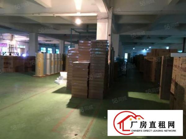  标准独院厂房4500平方，工业地可办环评，水电线路齐全