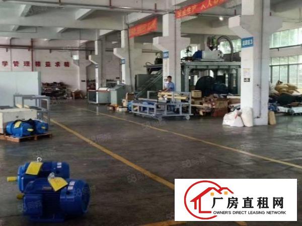 常平朗州原房东自用独院厂房分租标准一楼1200平高度5.5米