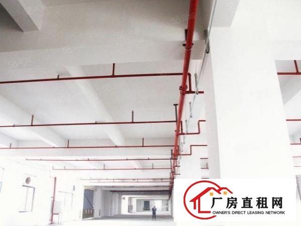  标准有证厂房仓库办公出租10000方！成熟工业园！价格便