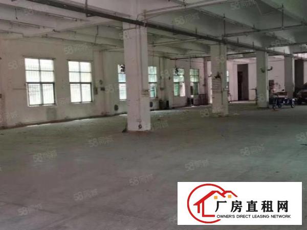 常平袁山贝标准1楼厂房出租1150平方