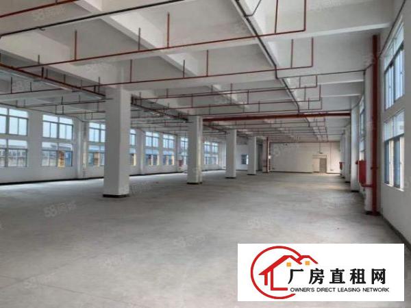  常平镇漱新工业区新出厂房出租一楼，空地大，形象好带voc