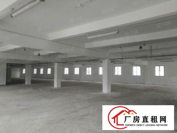  东莞市常平镇新出两栋六层全新厂房招租