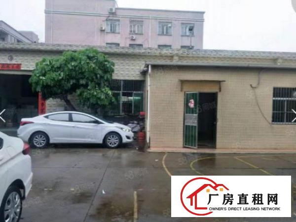  常平新出单一层钢构小厂房600平方招租，可做污染行业