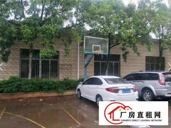  常平新出单一层钢构小厂房600平方招租，可做污染行业