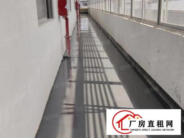  特价房源出租，楼上900平，可分租可整租，低至12元起