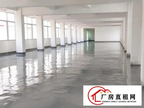  特价房源出租，楼上900平，可分租可整租，低至12元起