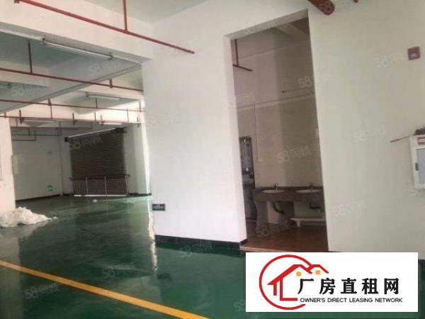  常平土塘全新工业区新出三楼700平精装修水电齐全3吨货梯