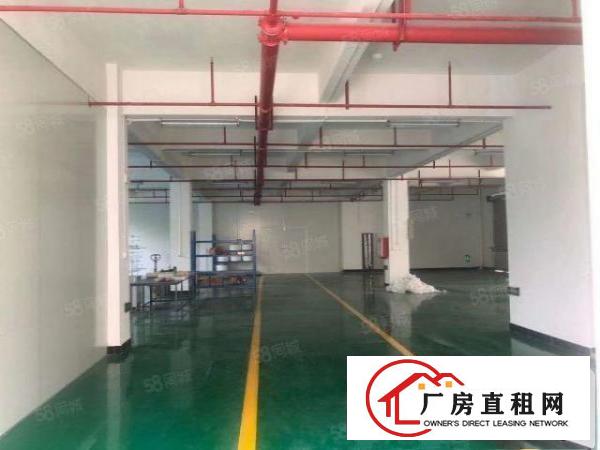  常平土塘全新工业区新出三楼700平精装修水电齐全3吨货梯
