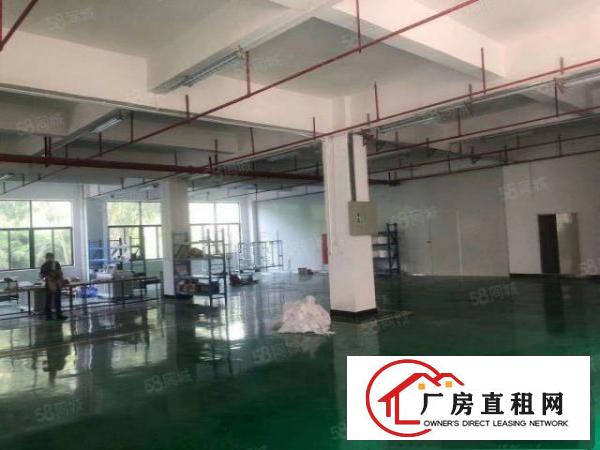  常平土塘全新工业区新出三楼700平精装修水电齐全3吨货梯