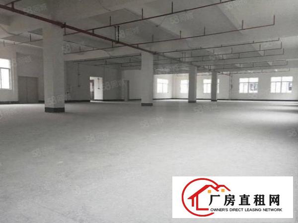 （10块招租）常平小独院2600平方招租，带消防喷淋