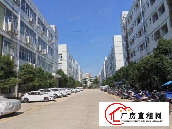 常平土塘新空出工业园内一楼800平方厂房（6米高，实用装修）