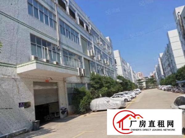 常平土塘新空出工业园内一楼800平方厂房（6米高，实用装修）