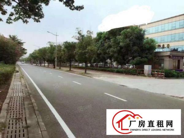  常平镇大马路边新出精装修办公楼2000平方，可整租可分租