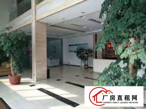  常平镇大马路边新出精装修办公楼2000平方，可整租可分租