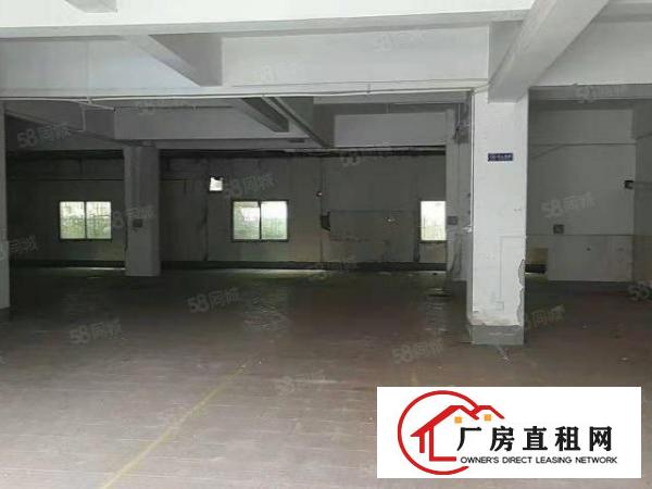  常平桥沥原房东实际面积，一楼500平无基本电费现成办公室2间
