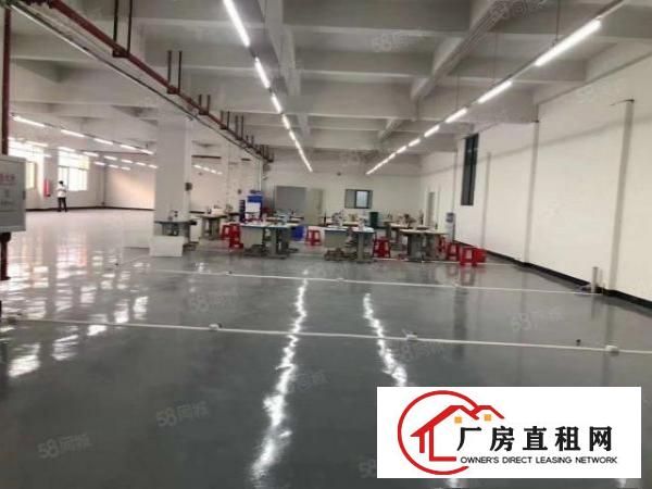  大朗原房东独院标准厂房一楼1000平，水电齐全，可办环评