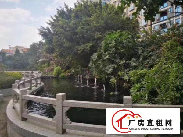  大朗原房东独院标准厂房一楼1000平，水电齐全，可办环评