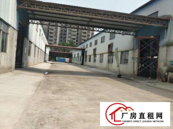  常平新出（原房东层高13米）单一层4500平无公摊厂房