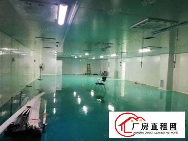  常平镇刚出稀有原房东独院标准厂房6400平米，空地超大