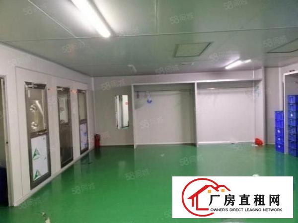  常平镇新出原房东标准厂房二楼280平方，全新地坪漆