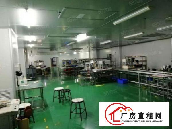  常平镇新出原房东标准厂房二楼280平方，全新地坪漆