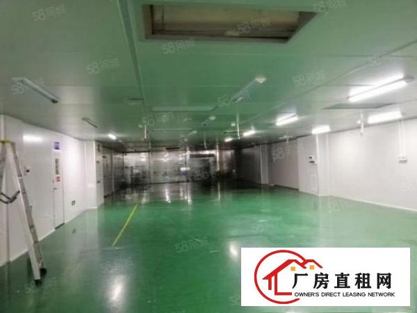  常平镇新出原房东标准厂房二楼280平方，全新地坪漆