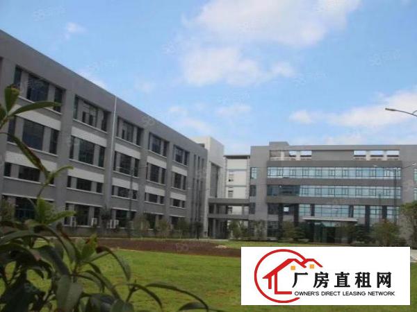  常平原房东独院13层8000平随时可空出，空地大环境好