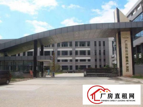  常平原房东独院13层8000平随时可空出，空地大环境好