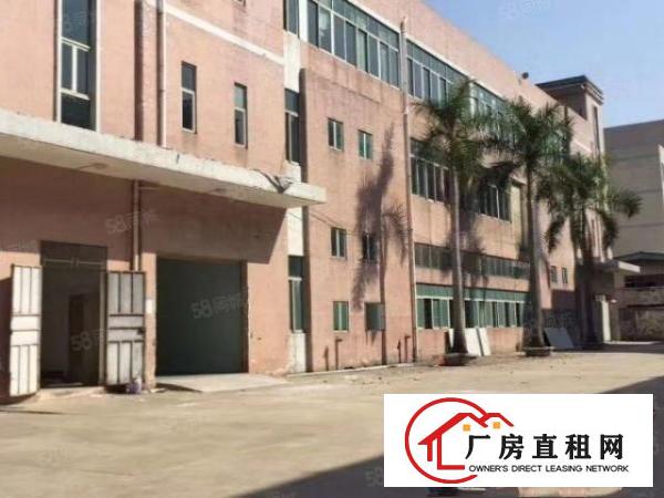  常平镇中心区独院厂房3层3500平宿舍饭堂1200可以分租