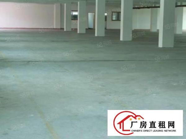  常平镇中心区独院厂房3层3500平宿舍饭堂1200可以分租