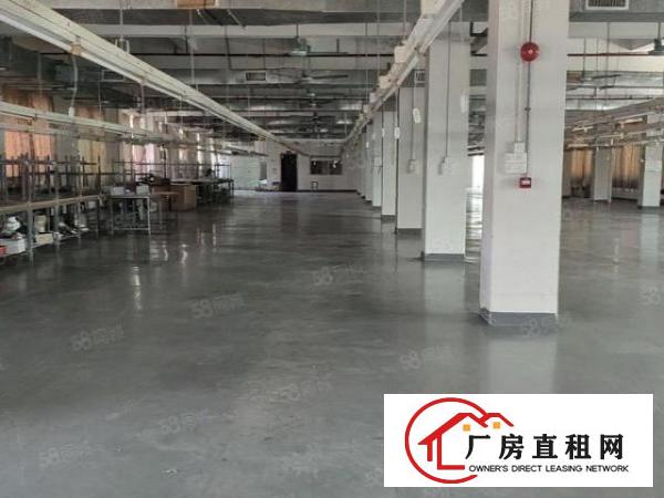  常平白石岗工业区新出一楼厂房500平带精装办公室