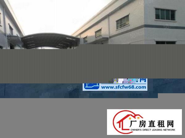  常平原房东独院钢构厂房出租国有土地可办环评配宿舍可分租
