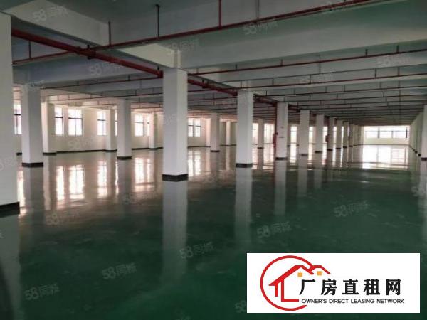  常平原房东厂房15层各2000平（大小可以分租）租金实惠