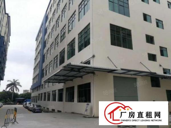  常平桥沥工业区新出标准一楼600平方厂房现成装修5米高