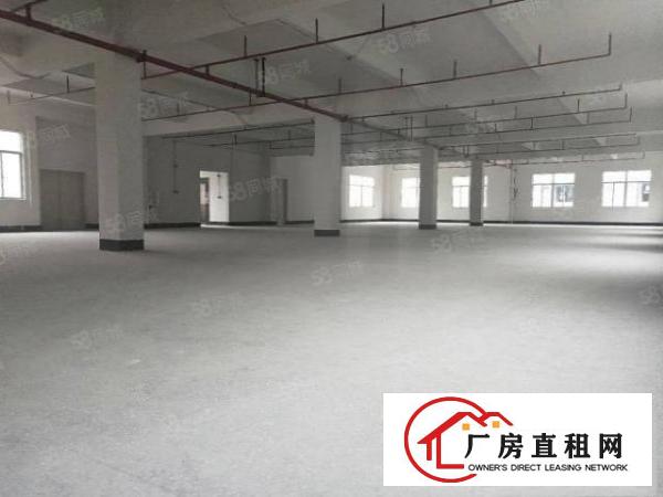  常平桥沥工业区新出标准一楼600平方厂房现成装修5米高