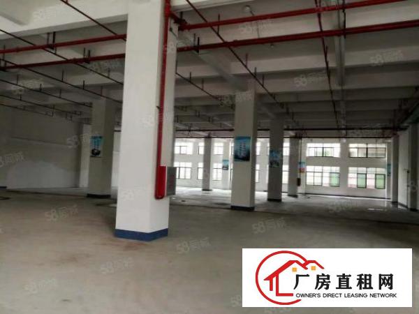  常平桥沥工业区新出标准一楼600平方厂房现成装修5米高