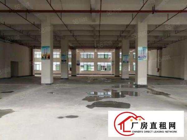  常平桥沥工业区新出标准一楼600平方厂房现成装修5米高